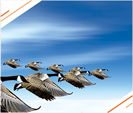 k8������(�й�)����Ӯ�ҡ�һ������